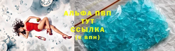 прущие крисы Ельня