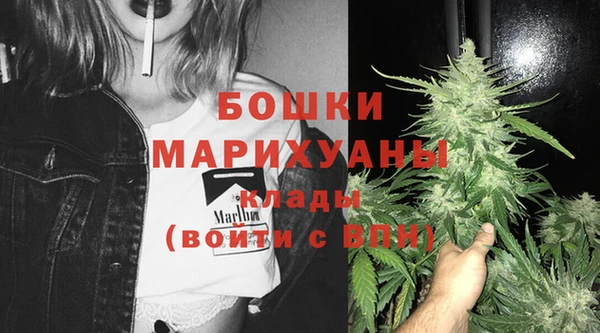 прущие крисы Ельня