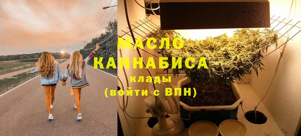 прущие крисы Ельня