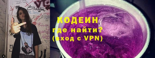 прущие крисы Ельня