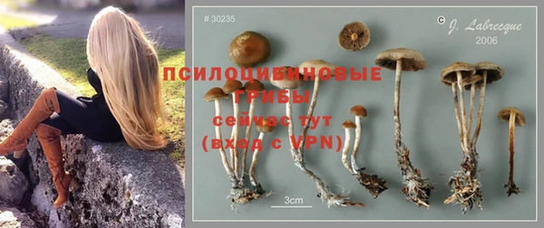 прущие крисы Ельня