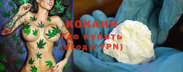 прущие крисы Ельня