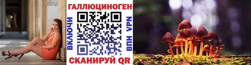 Псилоцибиновые грибы Psilocybe  Купить закладки  Катайск 